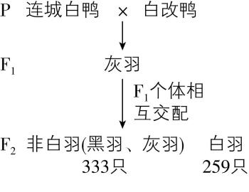 试题资源网 https://stzy.com