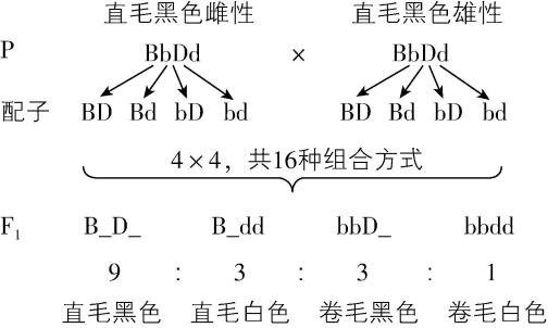 试题资源网 https://stzy.com