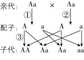 试题资源网 https://stzy.com