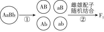 试题资源网 https://stzy.com