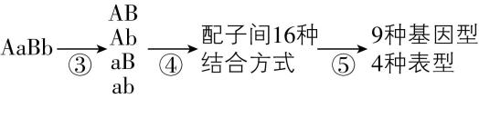 试题资源网 https://stzy.com