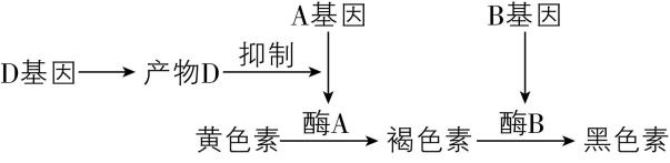 试题资源网 https://stzy.com