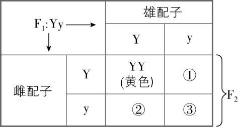 试题资源网 https://stzy.com