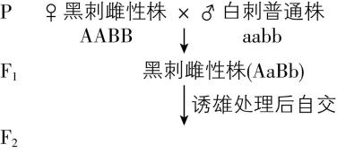 试题资源网 https://stzy.com