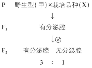 试题资源网 https://stzy.com