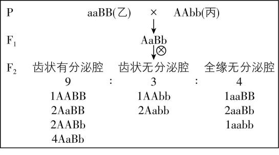 试题资源网 https://stzy.com