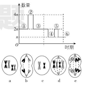试题资源网 https://stzy.com
