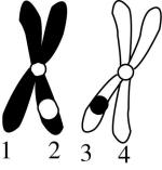 试题资源网 https://stzy.com