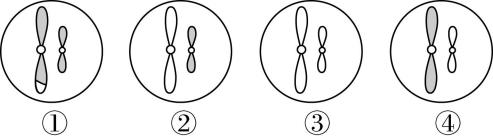 试题资源网 https://stzy.com