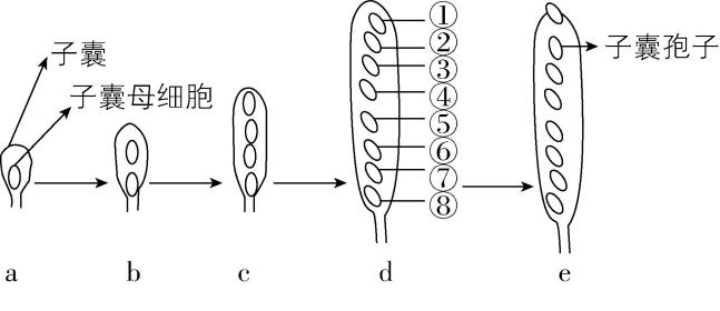 试题资源网 https://stzy.com