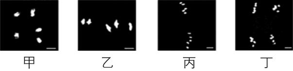 试题资源网 https://stzy.com