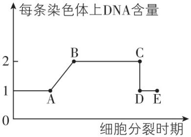 试题资源网 https://stzy.com