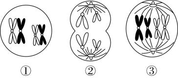 试题资源网 https://stzy.com