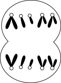 试题资源网 https://stzy.com