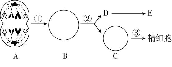 试题资源网 https://stzy.com