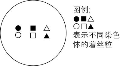 试题资源网 https://stzy.com