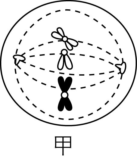 试题资源网 https://stzy.com