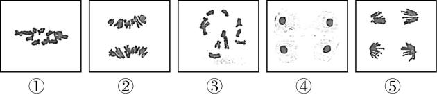 试题资源网 https://stzy.com