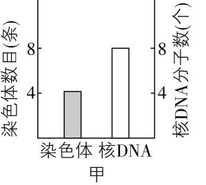 试题资源网 https://stzy.com