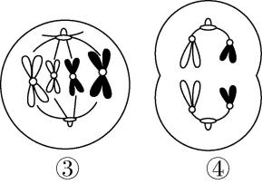 试题资源网 https://stzy.com