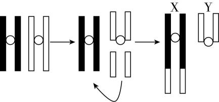 试题资源网 https://stzy.com