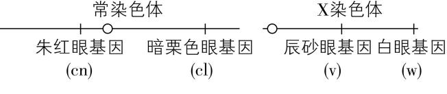 试题资源网 https://stzy.com
