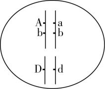 试题资源网 https://stzy.com