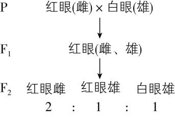 试题资源网 https://stzy.com