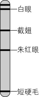 试题资源网 https://stzy.com