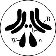 试题资源网 https://stzy.com