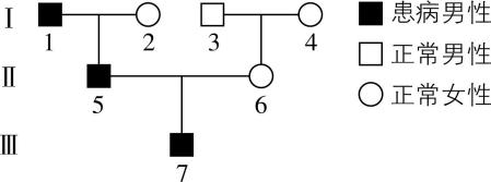 试题资源网 https://stzy.com