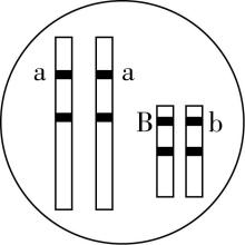 试题资源网 https://stzy.com