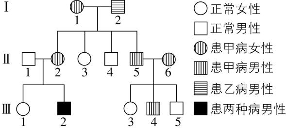 试题资源网 https://stzy.com