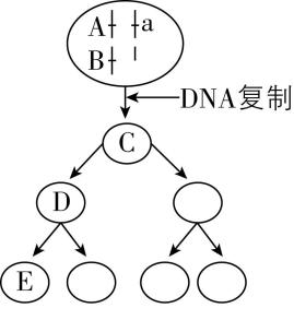 试题资源网 https://stzy.com