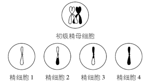 试题资源网 https://stzy.com