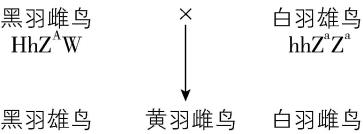 试题资源网 https://stzy.com