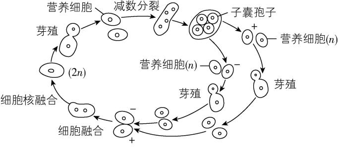 试题资源网 https://stzy.com
