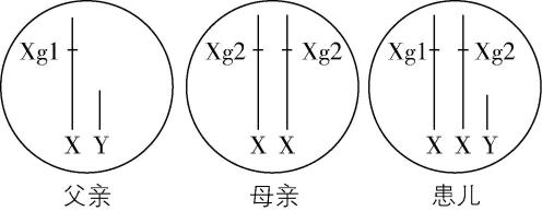 试题资源网 https://stzy.com