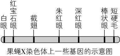 试题资源网 https://stzy.com