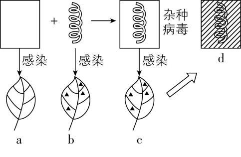 试题资源网 https://stzy.com