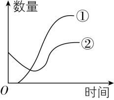 试题资源网 https://stzy.com