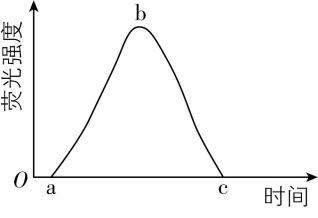 试题资源网 https://stzy.com
