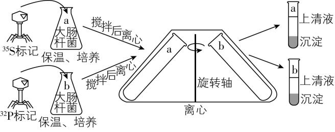 试题资源网 https://stzy.com