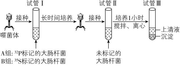 试题资源网 https://stzy.com