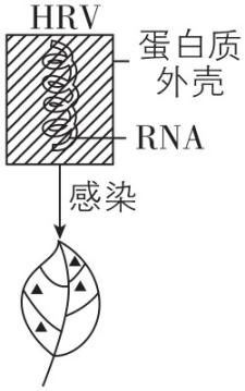 试题资源网 https://stzy.com
