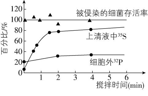 试题资源网 https://stzy.com