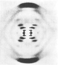 试题资源网 https://stzy.com