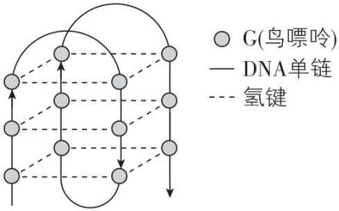 试题资源网 https://stzy.com
