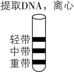 试题资源网 https://stzy.com
