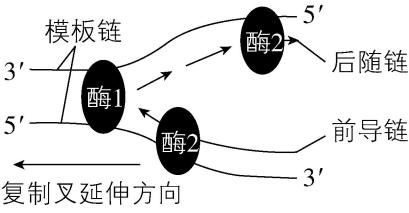 试题资源网 https://stzy.com